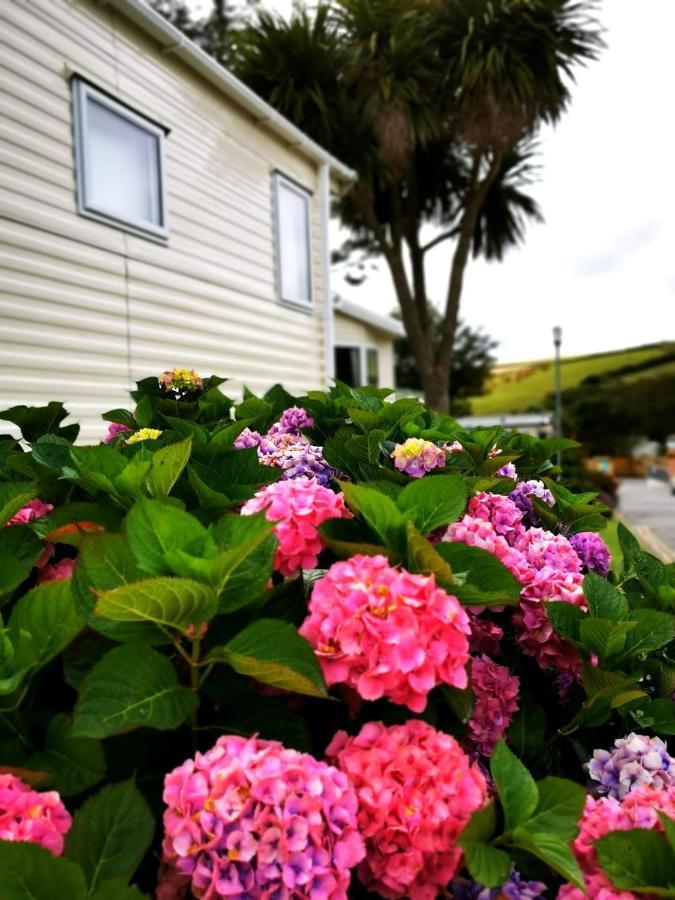 Newquay Buy Resort Holiday Exterior foto